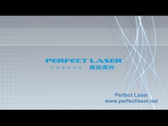 Perfect Laser Mixed Laser Cutting Machine PEDK-13090M